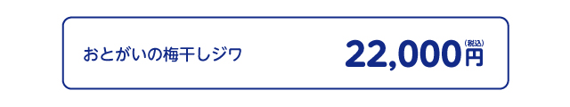 おとがい梅干しジワ治療価格
