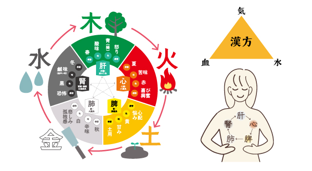 漢方の基本コンセプト